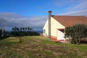 Mendonça Costa & Filhos Lda