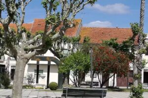 Mesa Posta &ndash; Prato do dia