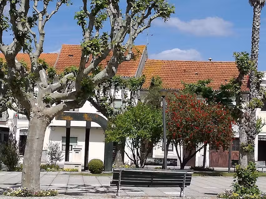 Mesa Posta &ndash; Prato do dia