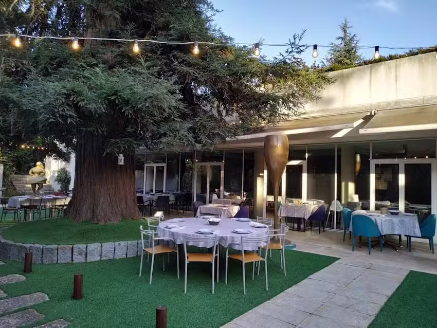 Migaitas Sal&atilde;o Champagne