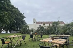 MôMô by Sensi Azores