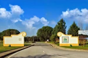 Montalvo &ndash; Constru&ccedil;&atilde;o E Habita&ccedil;&atilde;o, C.R.L.