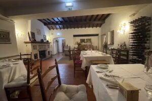 Ninho D`&Aacute;guias