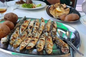 N&uacute;cleo Sporting da Figueira da Foz