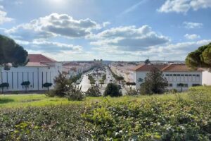 Núcleo Sporting de Vila Viçosa