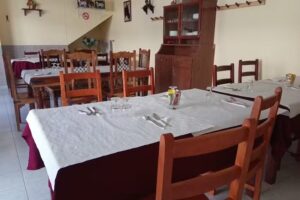 O Garfo da Av&oacute; Nanda