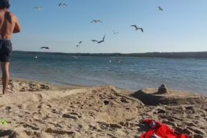 Oh! Lálá Street Food