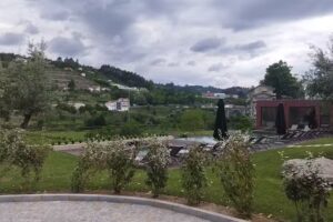 Olivetto &ndash; by Quinta de Santo Ant&oacute;nio