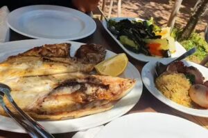 ORIGINAL CASA DE PEIXE