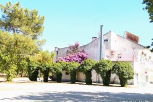 Para&iacute;so da Mata