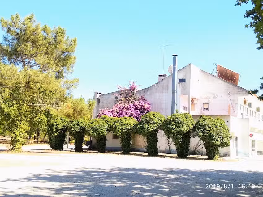 Para&iacute;so da Mata