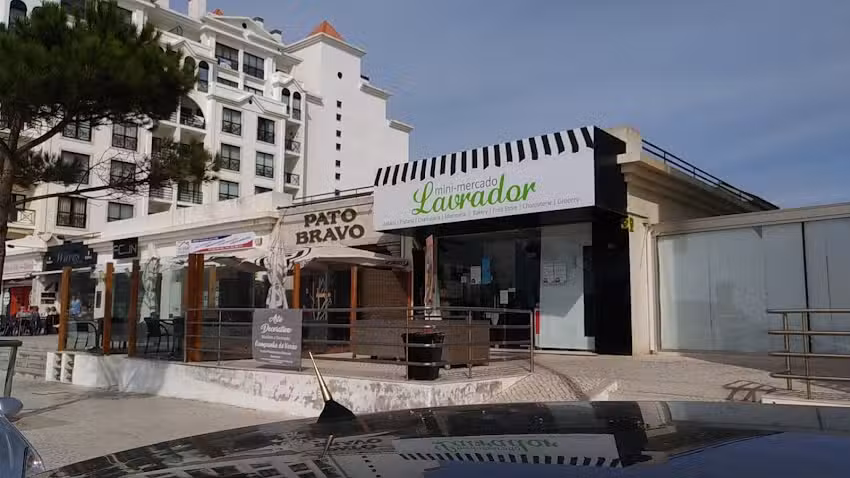 Pato Bravo