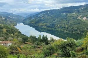 Pena Panor&acirc;mica