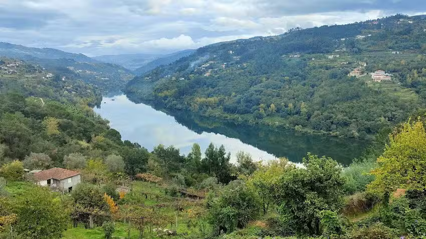 Pena Panor&acirc;mica