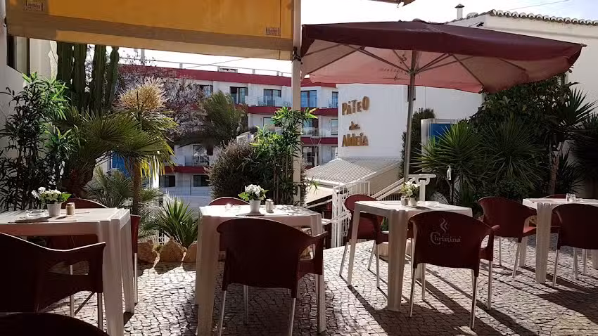 Pizzaria Senhor Frog&rsquo;s