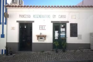 PREC &ndash; Processo Regenerativo em Curso
