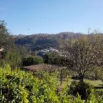 quinta da boavista