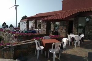 Quinta das Olelas Artur