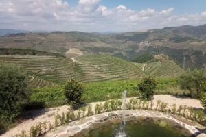 Quinta dos Magusteiros