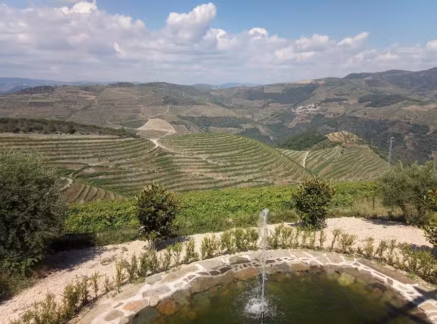 Quinta dos Magusteiros