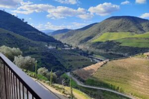 Quinta São José do Barrilário – Douro Wine Hotel & Spa