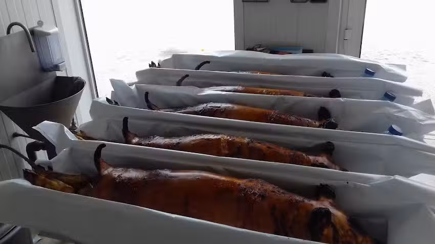 Real Casa dos Leit&otilde;es