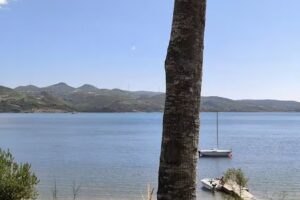 Restaurante/Caf&eacute; de Penedones