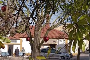 Restaurante &ldquo;Estrada Velha&rdquo;