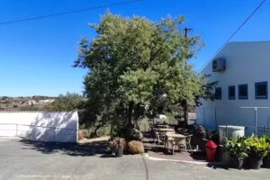 Restaurante Eugénio