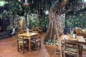 Restaurante Jungle Rain