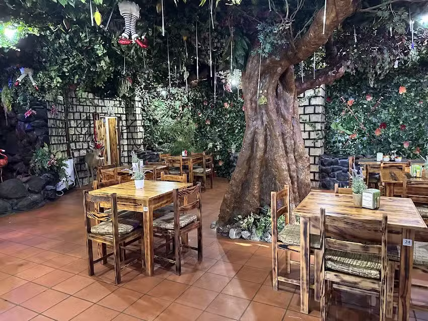 Restaurante Jungle Rain