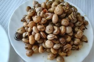 Restaurante O Ca&ccedil;ador