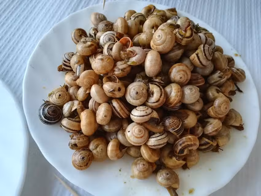 Restaurante O Ca&ccedil;ador