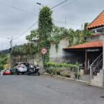 Restaurante O PALHEIRO
