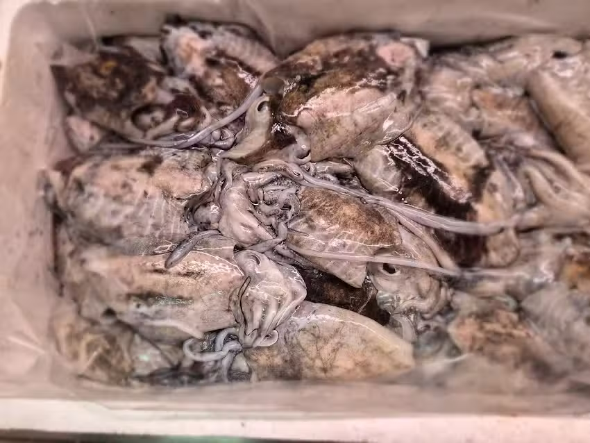 Restaurante S&oacute; do Mar