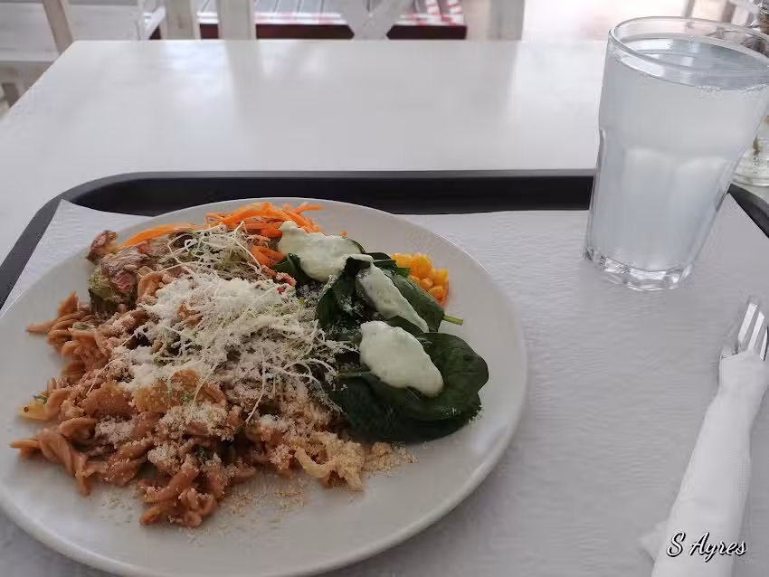 Restaurante Vegetariano Terra Viva