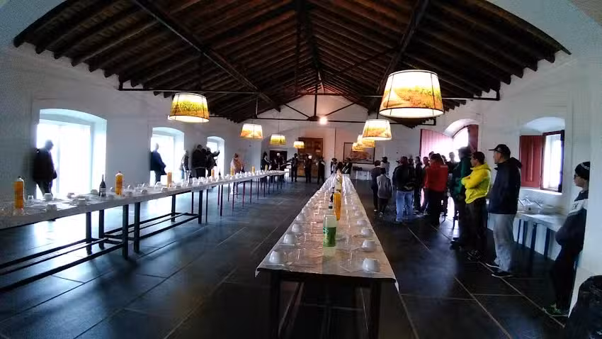 Reynolds Wine Growers SA