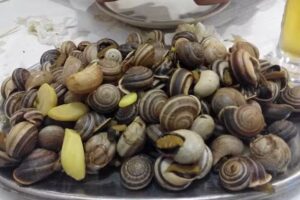 Russo Dos Carac&oacute;is &ndash; Palmela