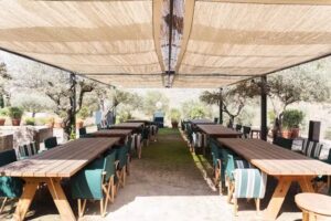 Seixo by Vasco Coelho Santos