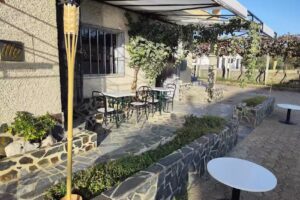 Semifreddy Sert&atilde; restaurant | gelateria | pasta bar | takeaway | SOHO Italian cuisine