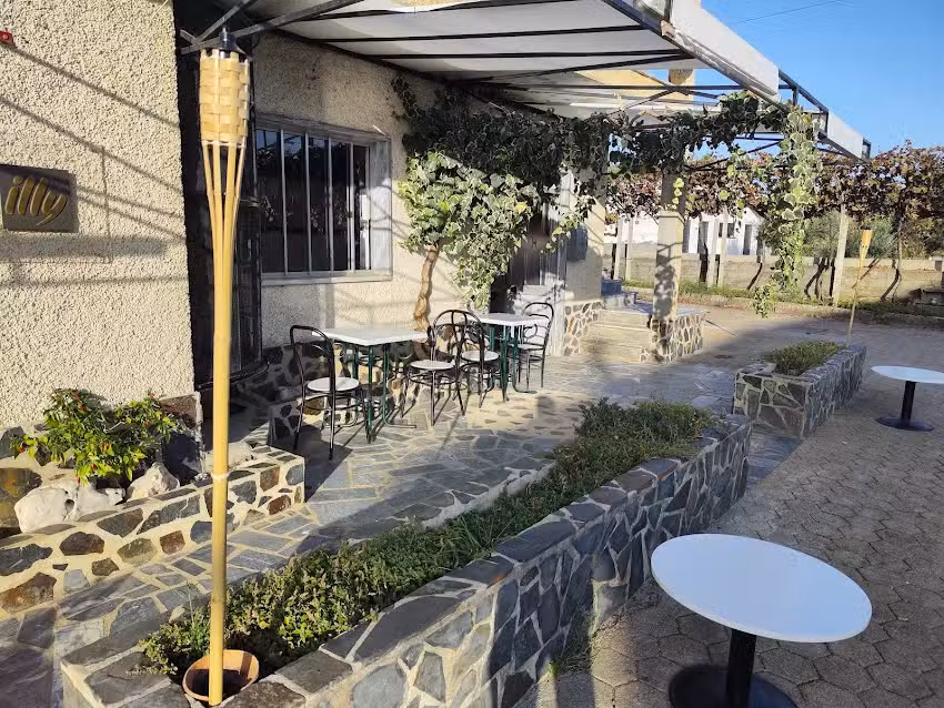 Semifreddy Sert&atilde; restaurant | gelateria | pasta bar | takeaway | SOHO Italian cuisine