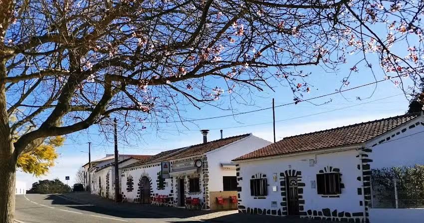 Snack Bar CS