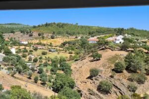 Sociedade Recreativa e Musical Alegretense