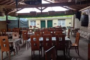 Solar O Rei dos Frangos