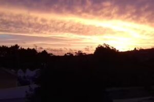 Taberna do Celestino (Cova Funda)