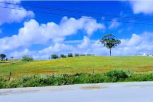 Taberna dos Mosqueir&otilde;es
