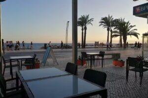 Tandoori Flames Indian Restaurant