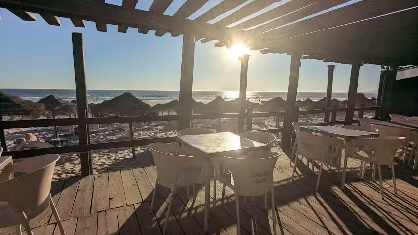 Tartaruga Bar
