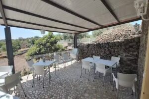 Tasquinha da Amoreira