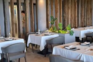 TERT&Uacute;LIA Gastronomia &ndash; NELAS